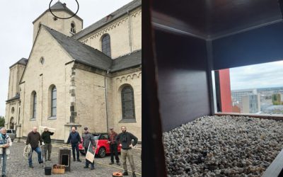 Presse: Stadt unterstützt Arbeitsgemeinschaft Wanderfalkenschutz beim Bau eines Nistplatzes